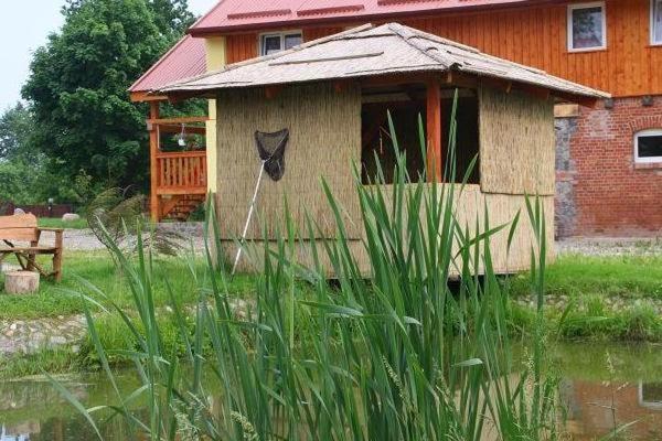 Agroturystyka Andrzejowka Czerniki Esterno foto