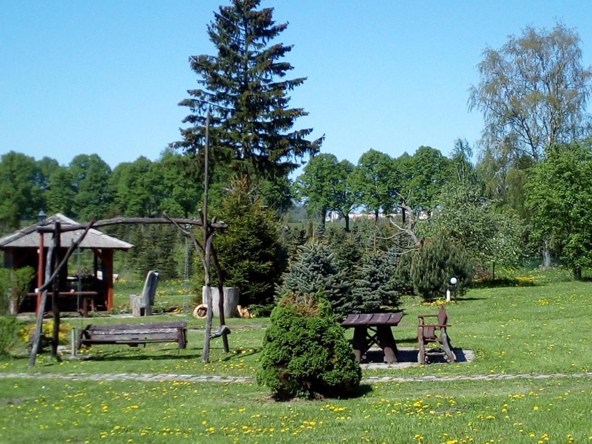 Agroturystyka Andrzejowka Czerniki Esterno foto
